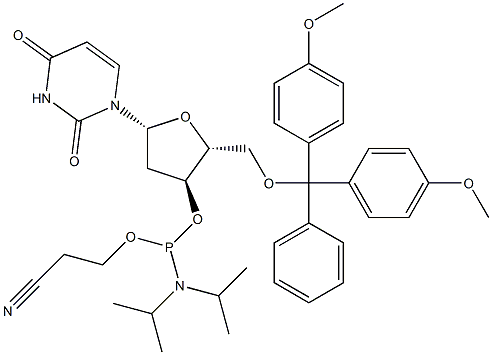 5'-DMT-dU ฟอสโฟรามิไดต์