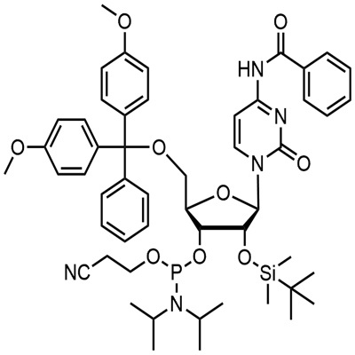 N-ที่ถูกบล็อก-5'-O-DMT-2'-O-TBDMS CED ไซติดีน ฟอสโฟรามิไดต์